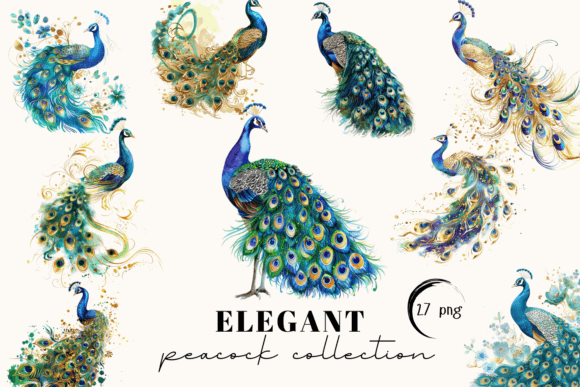 Peacock Clipart & Watercolor Clipart: Elevate Your Design Assets